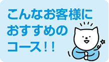 こんなお客様におすすめ手書き原稿コース